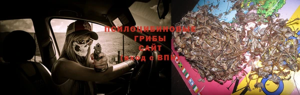 спиды Алексеевка