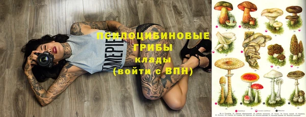 гидра Алзамай
