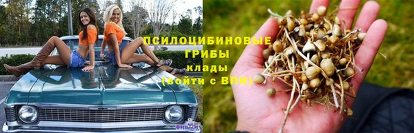 спиды Алексеевка