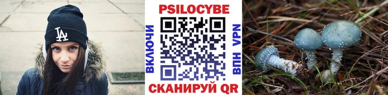 Галлюциногенные грибы прущие грибы Дмитров